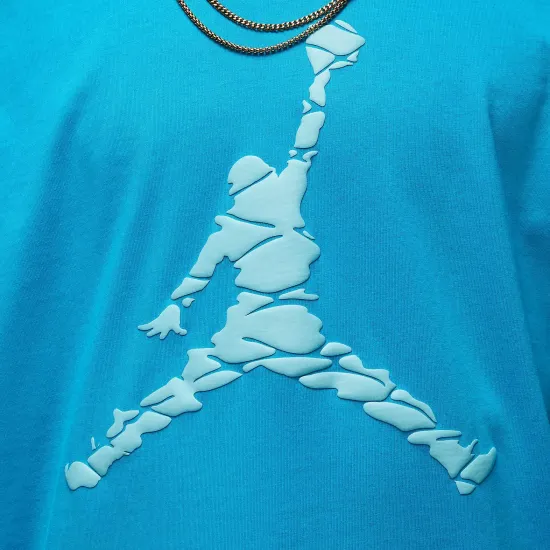 Футболка Nike Air Jordan Essentials ESS SS Crew 3 DX9581-483