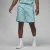 Шорти Nike Air Jordan Essentials Poolside DX9673-464