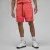 Шорти Nike Air Jordan Flight MVP Mesh F2 DX9722-814