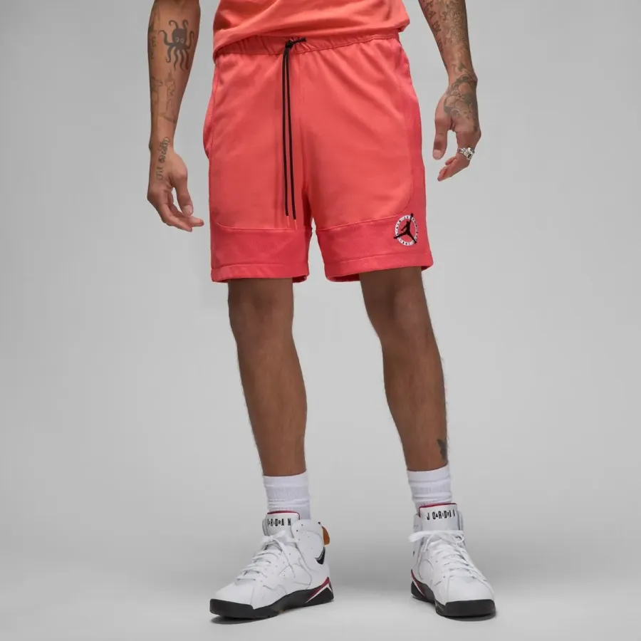 Шорти Nike Air Jordan Flight MVP Mesh F2 DX9722-814
