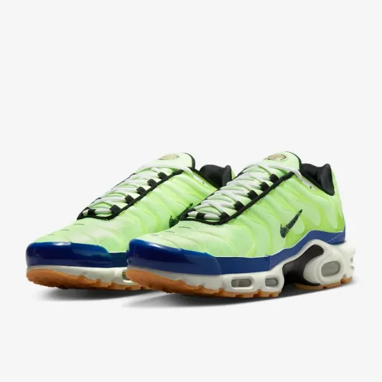 Кросівки Nike Air Max Plus SE DZ0480-300
