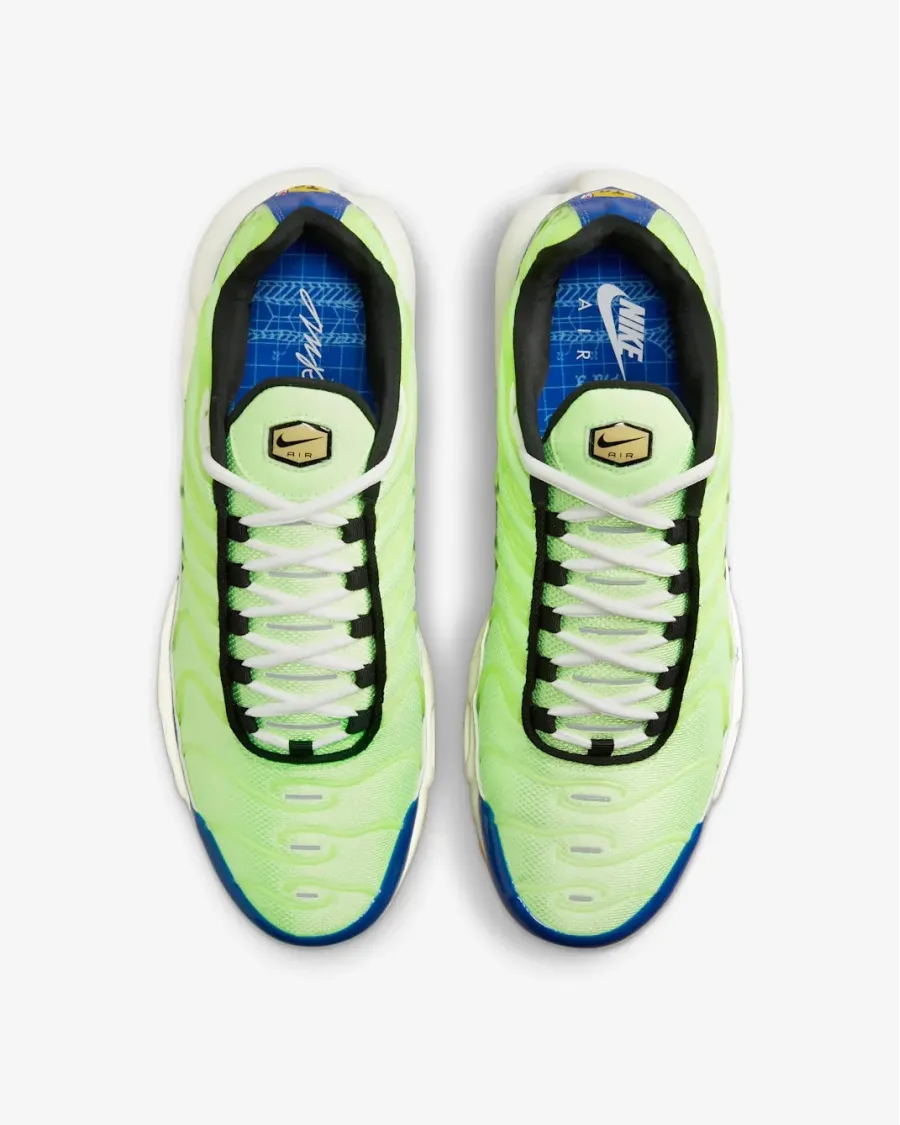 Кросівки Nike Air Max Plus SE DZ0480-300
