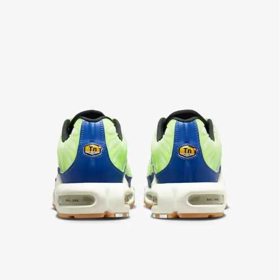 Кросівки Nike Air Max Plus SE DZ0480-300