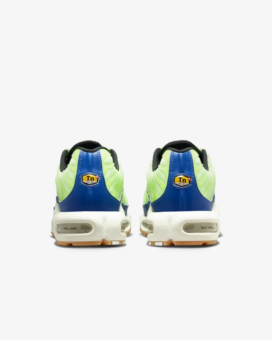 Кросівки Nike Air Max Plus SE DZ0480-300