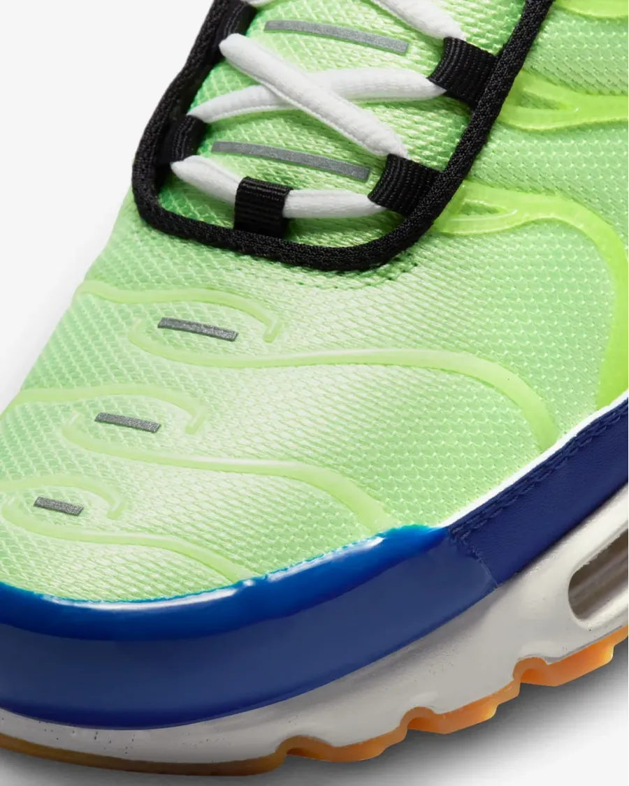 Кросівки Nike Air Max Plus SE DZ0480-300