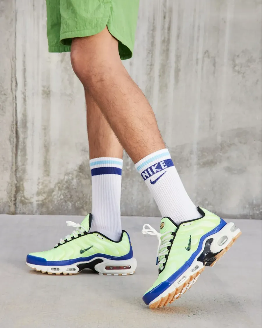 Кросівки Nike Air Max Plus SE DZ0480-300