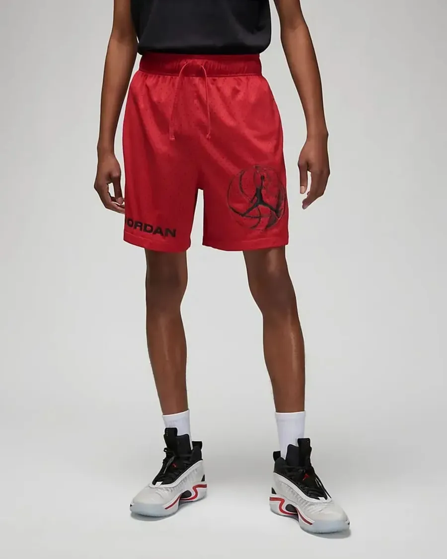 Шорти Nike Air Jordan Dri-FIT Sport BC Mesh DZ0569-687