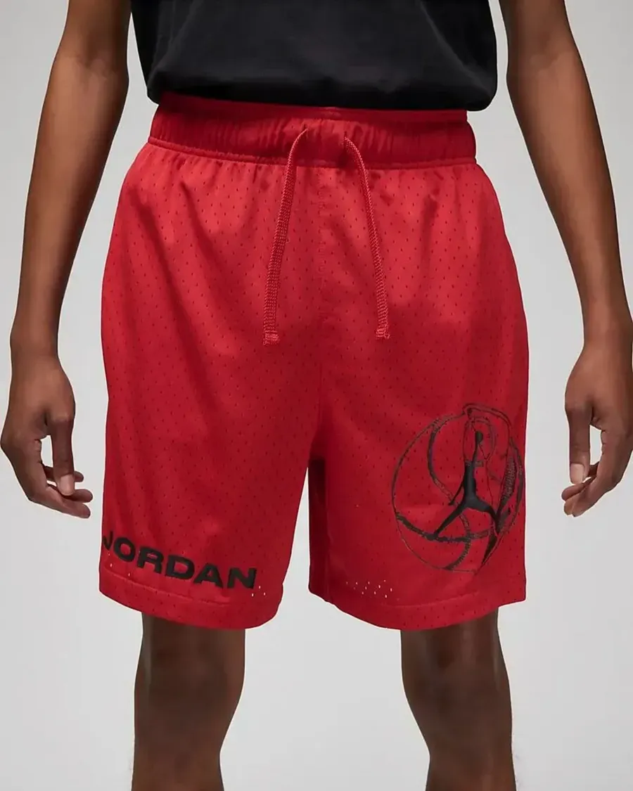 Шорти Nike Air Jordan Dri-FIT Sport BC Mesh DZ0569-687