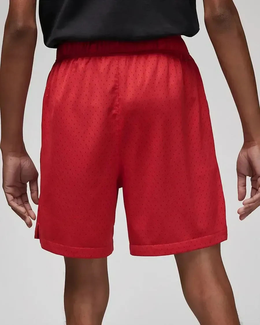 Шорти Nike Air Jordan Dri-FIT Sport BC Mesh DZ0569-687