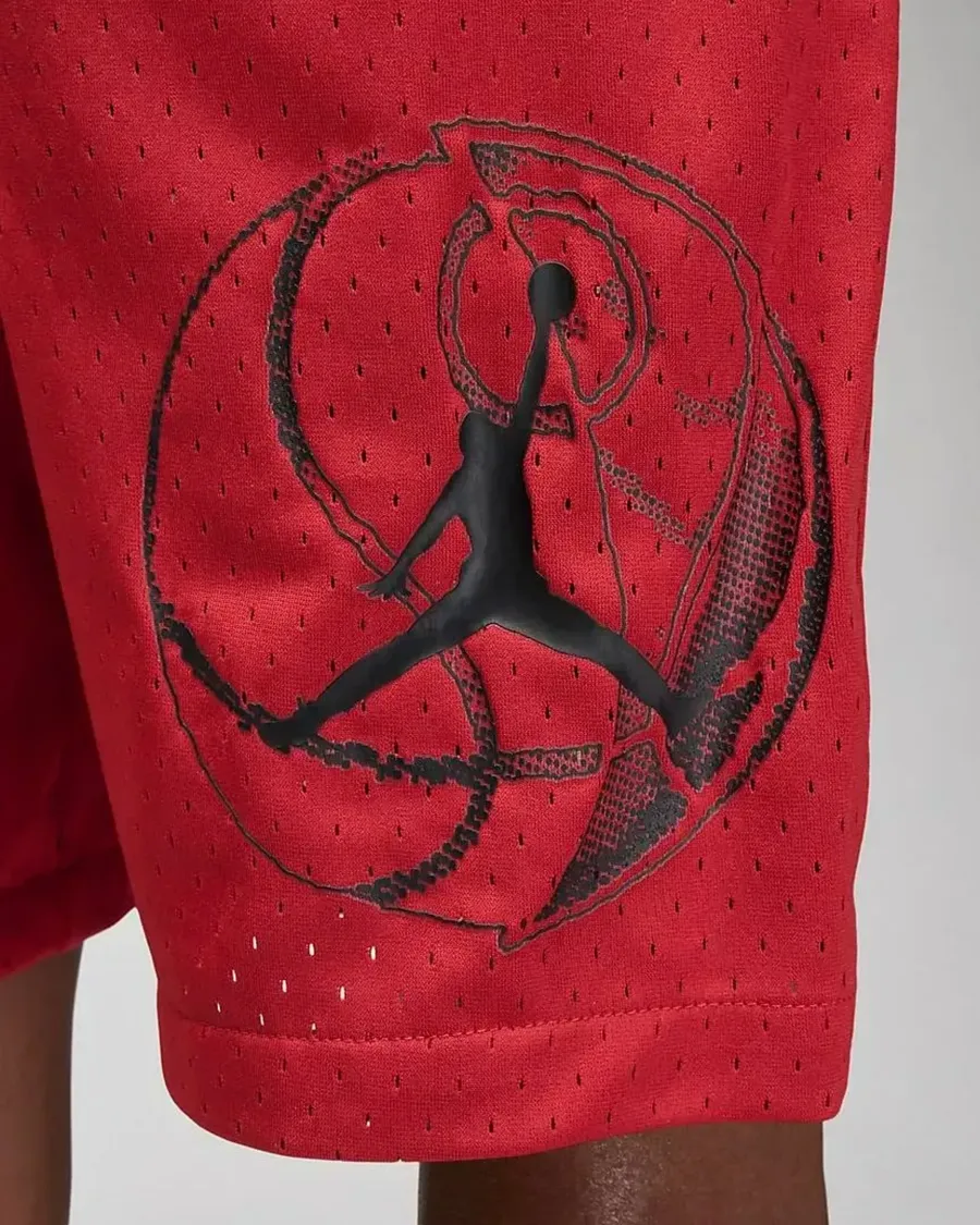 Шорти Nike Air Jordan Dri-FIT Sport BC Mesh DZ0569-687