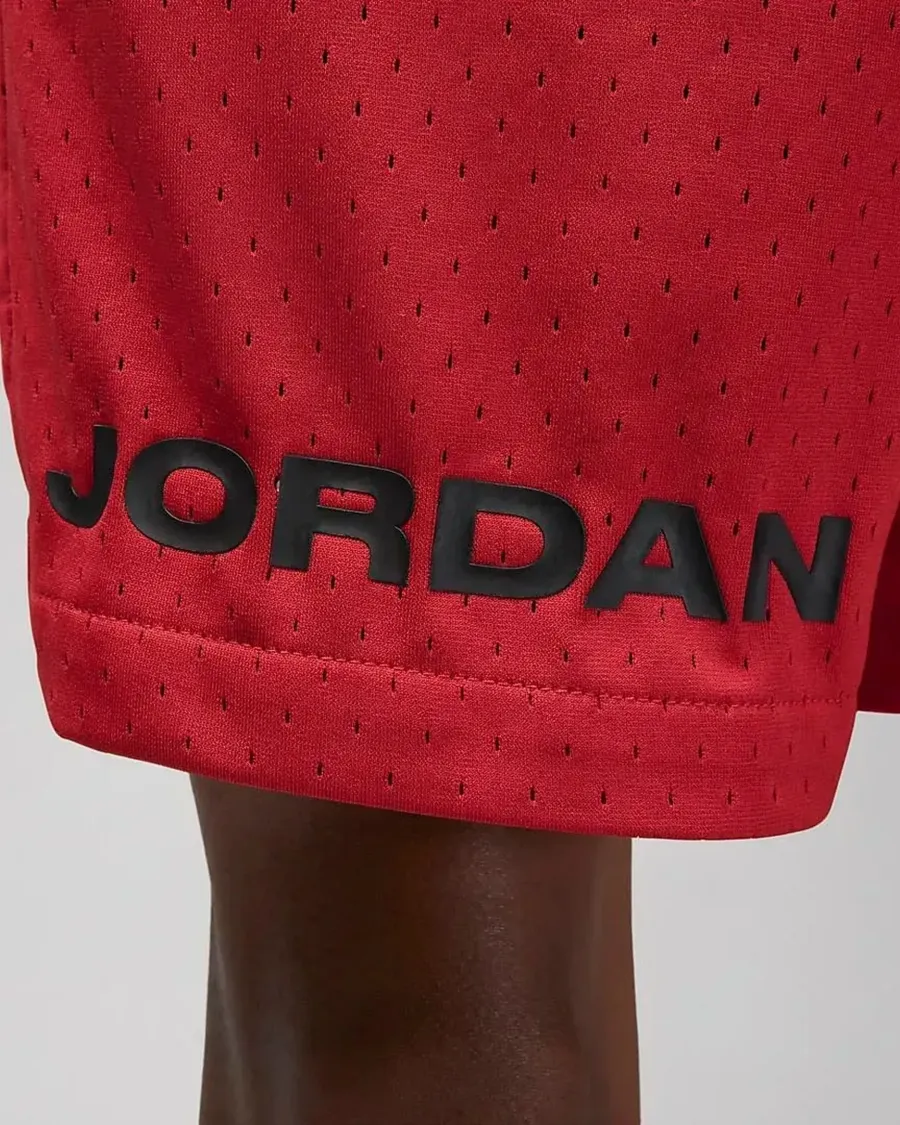 Шорти Nike Air Jordan Dri-FIT Sport BC Mesh DZ0569-687