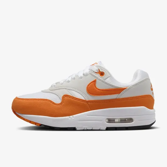 Кросівки Nike Air Max 1 '87 DZ2628-002