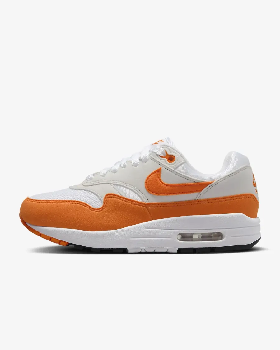 Кросівки Nike Air Max 1 '87 DZ2628-002