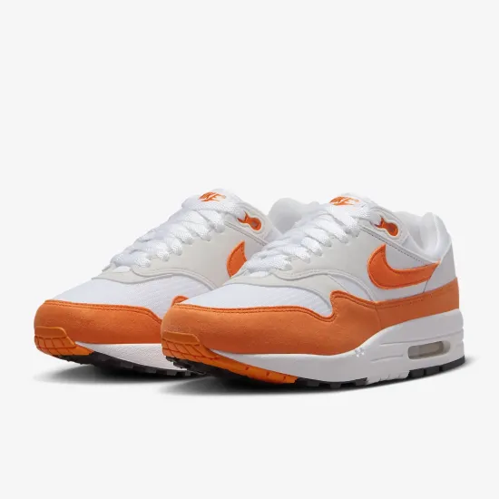 Кросівки Nike Air Max 1 '87 DZ2628-002