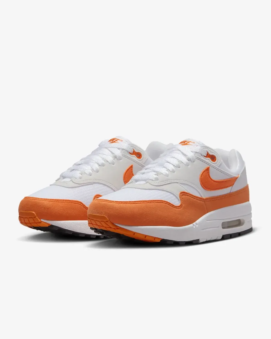 Кросівки Nike Air Max 1 '87 DZ2628-002