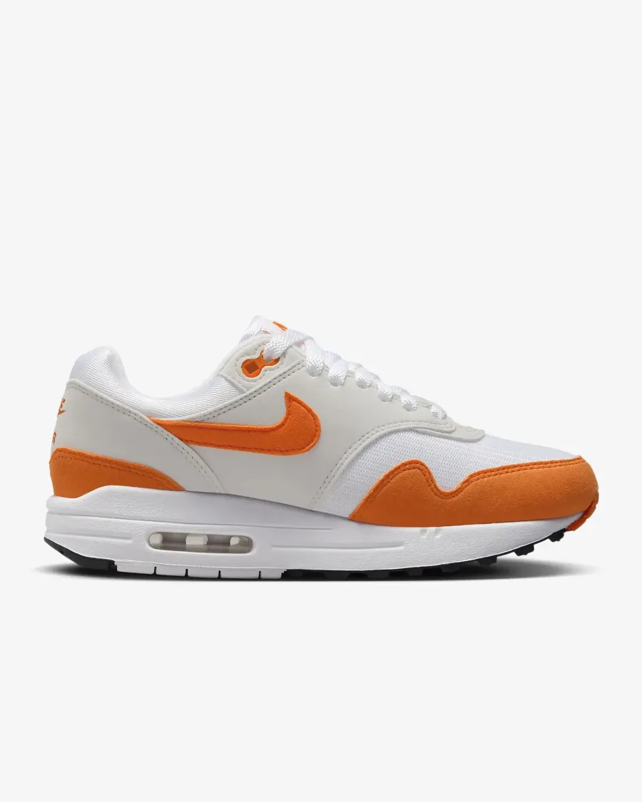 Кросівки Nike Air Max 1 '87 DZ2628-002