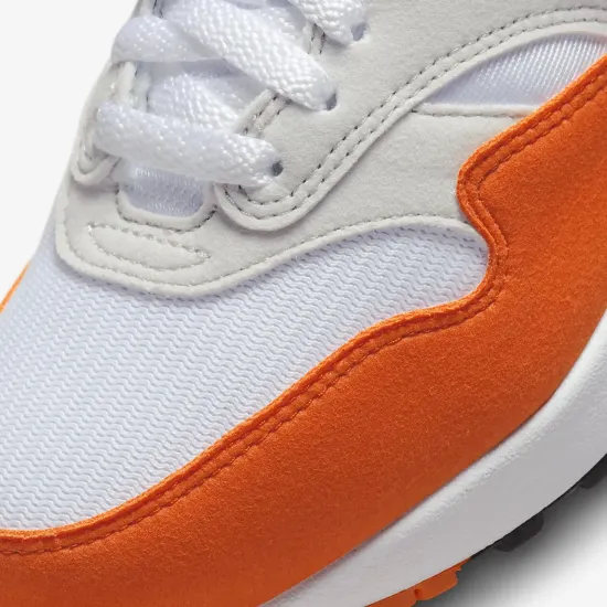 Кросівки Nike Air Max 1 '87 DZ2628-002