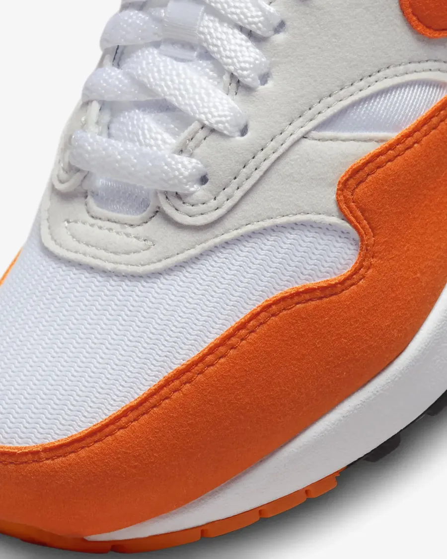 Кросівки Nike Air Max 1 '87 DZ2628-002