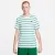Футболка Nike Sportswear Club Stripe Tee DZ2985-094