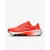 Кросівки Nike Versair DZ3547-600