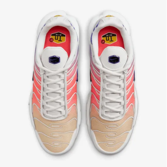 Кросівки Nike Air Max Plus Daybreak DZ3670-003