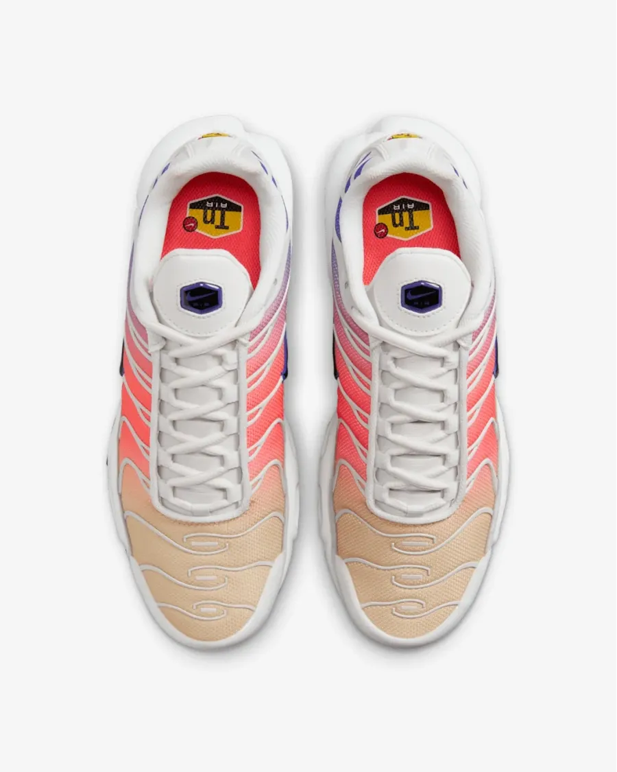 Кросівки Nike Air Max Plus Daybreak DZ3670-003