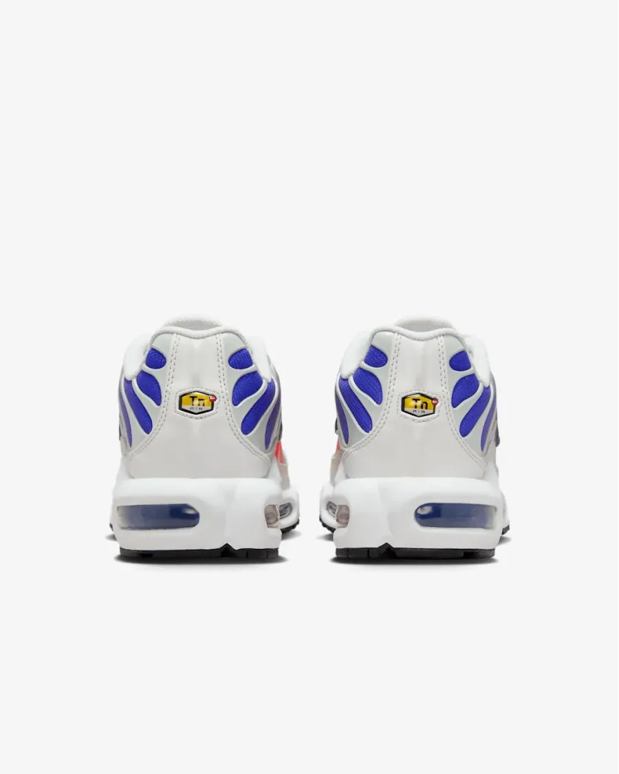Кросівки Nike Air Max Plus Daybreak DZ3670-003