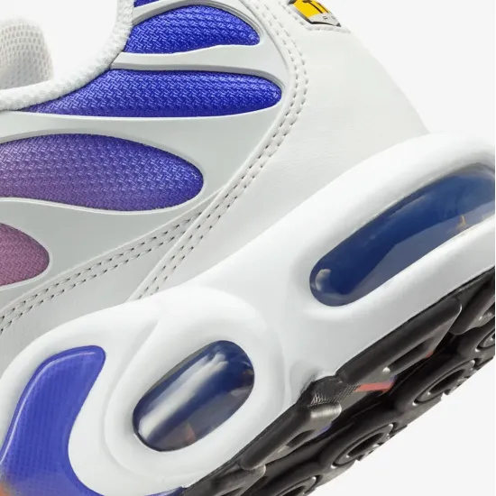 Кросівки Nike Air Max Plus Daybreak DZ3670-003