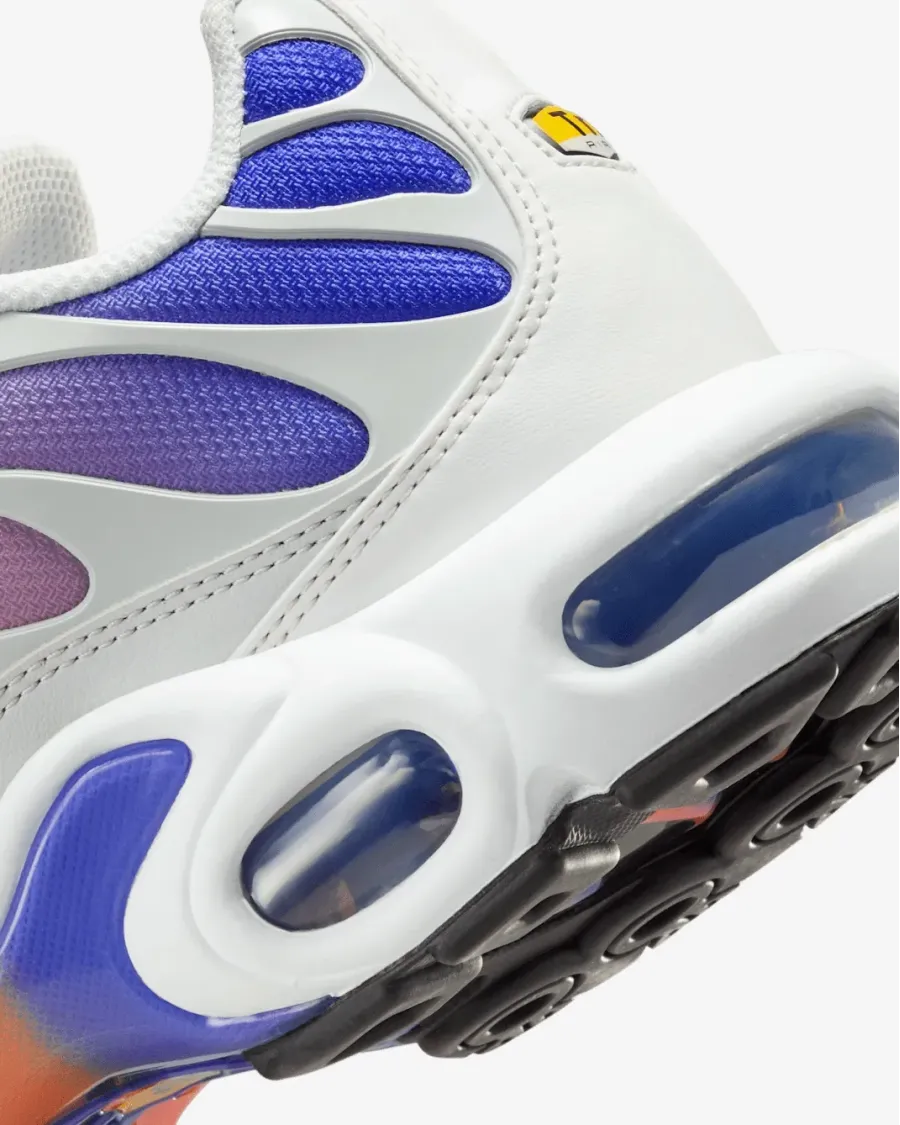 Кросівки Nike Air Max Plus Daybreak DZ3670-003