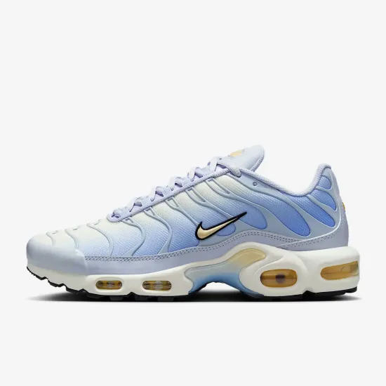 Кросівки Nike Air Max Plus Daybreak DZ3670-004