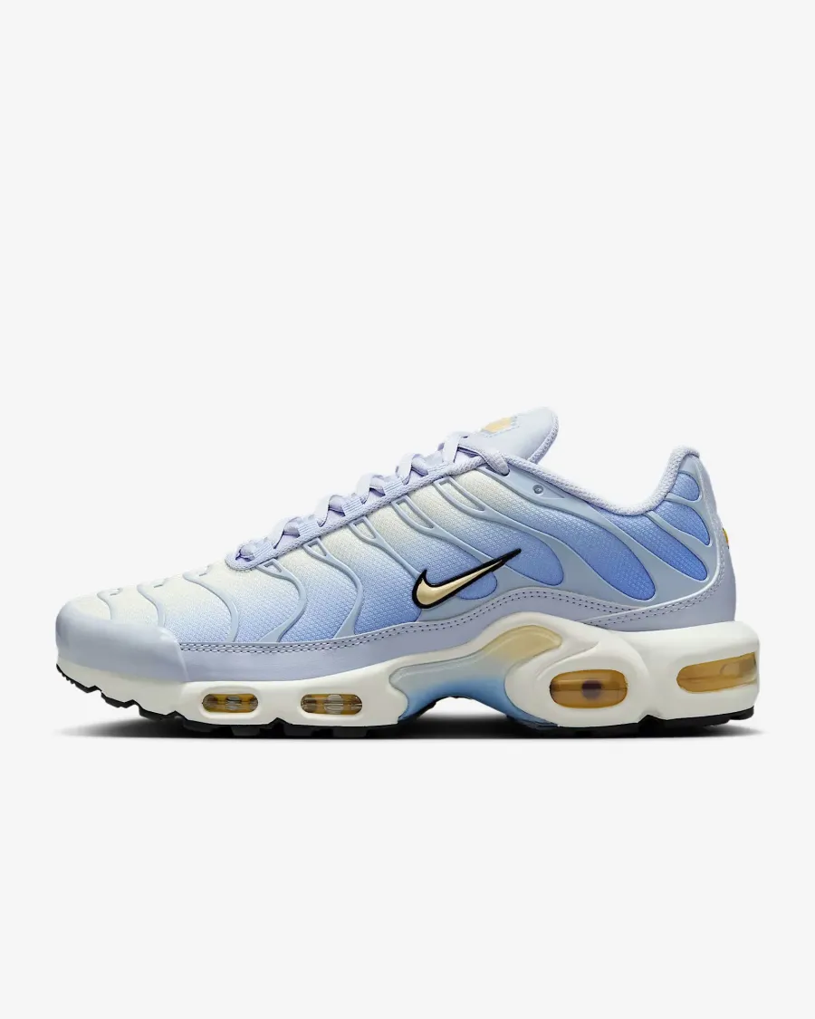 Кросівки Nike Air Max Plus Daybreak DZ3670-004