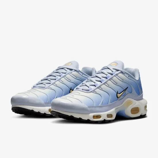 Кросівки Nike Air Max Plus Daybreak DZ3670-004