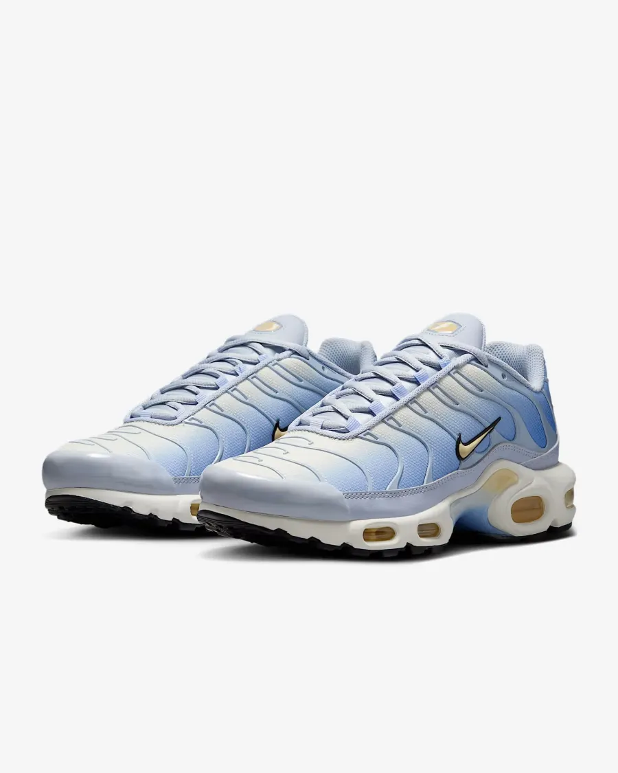 Кросівки Nike Air Max Plus Daybreak DZ3670-004
