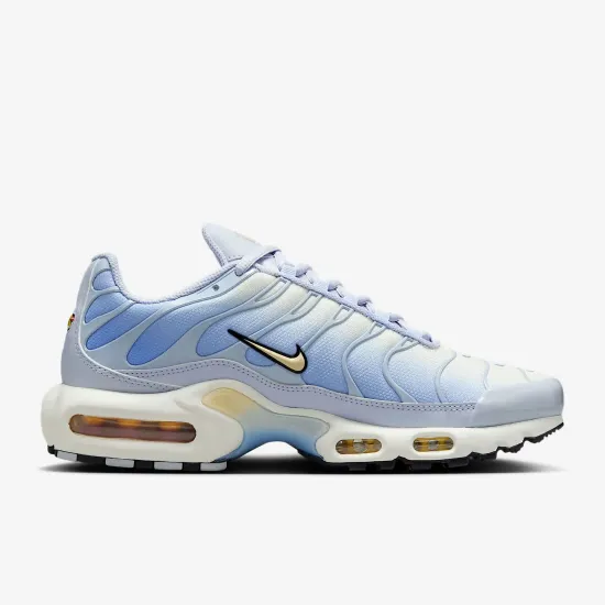 Кросівки Nike Air Max Plus Daybreak DZ3670-004