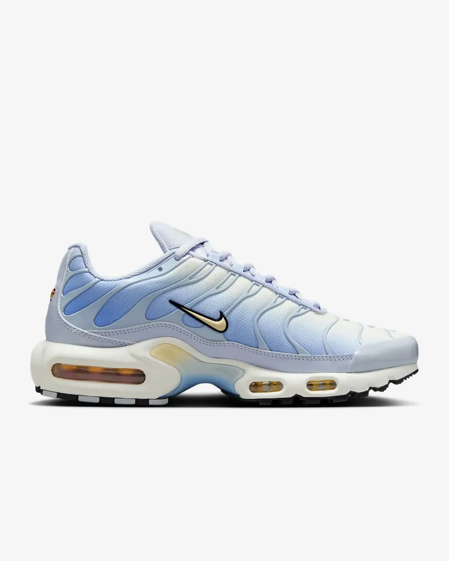 Кросівки Nike Air Max Plus Daybreak DZ3670-004