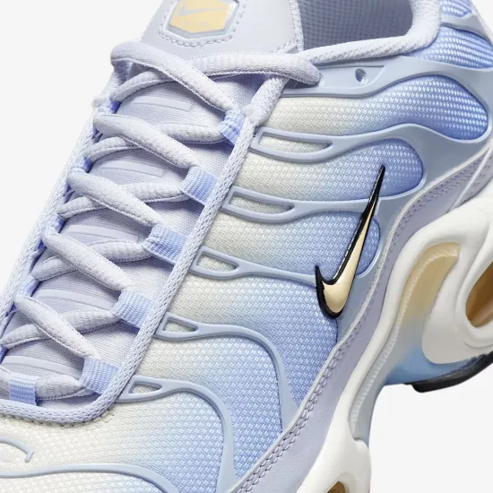 Кросівки Nike Air Max Plus Daybreak DZ3670-004