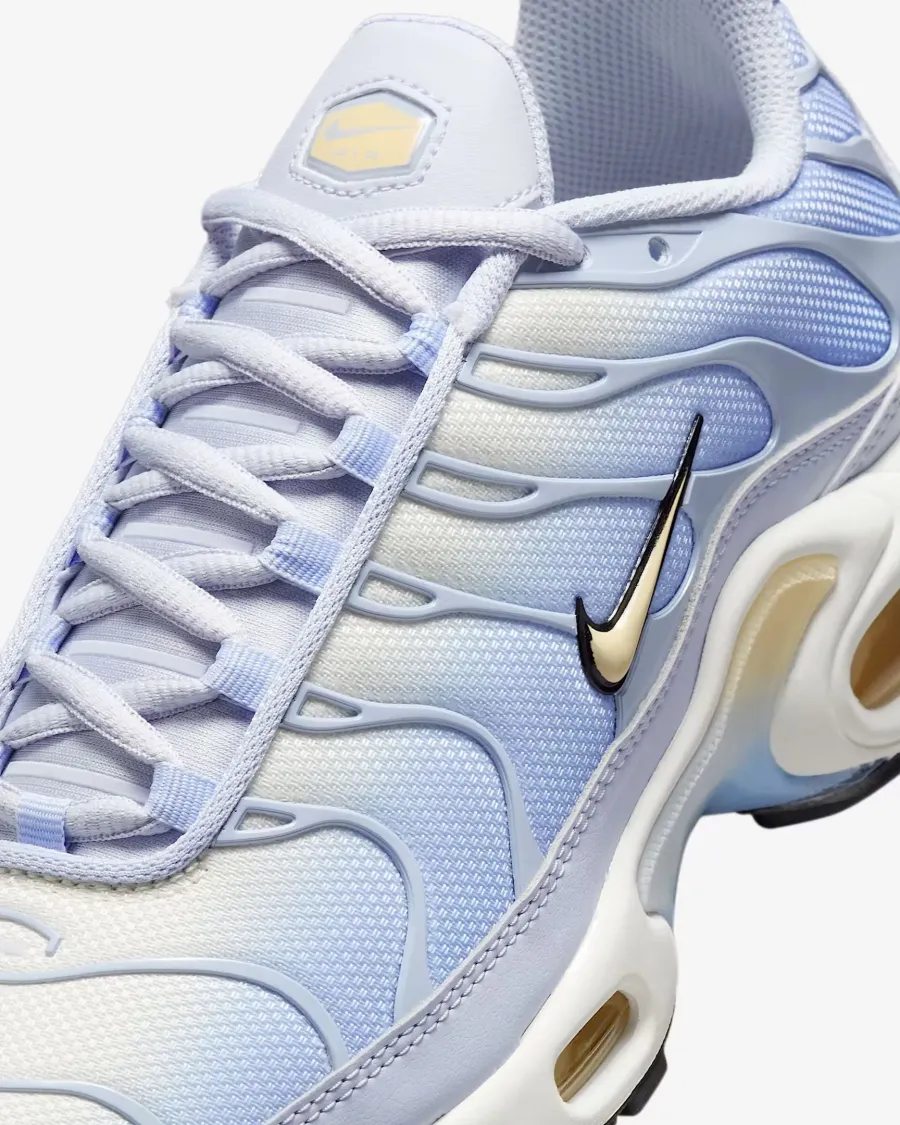 Кросівки Nike Air Max Plus Daybreak DZ3670-004