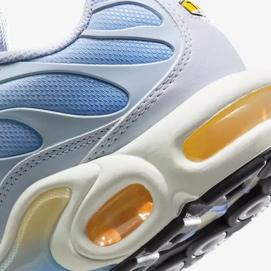 Кросівки Nike Air Max Plus Daybreak DZ3670-004
