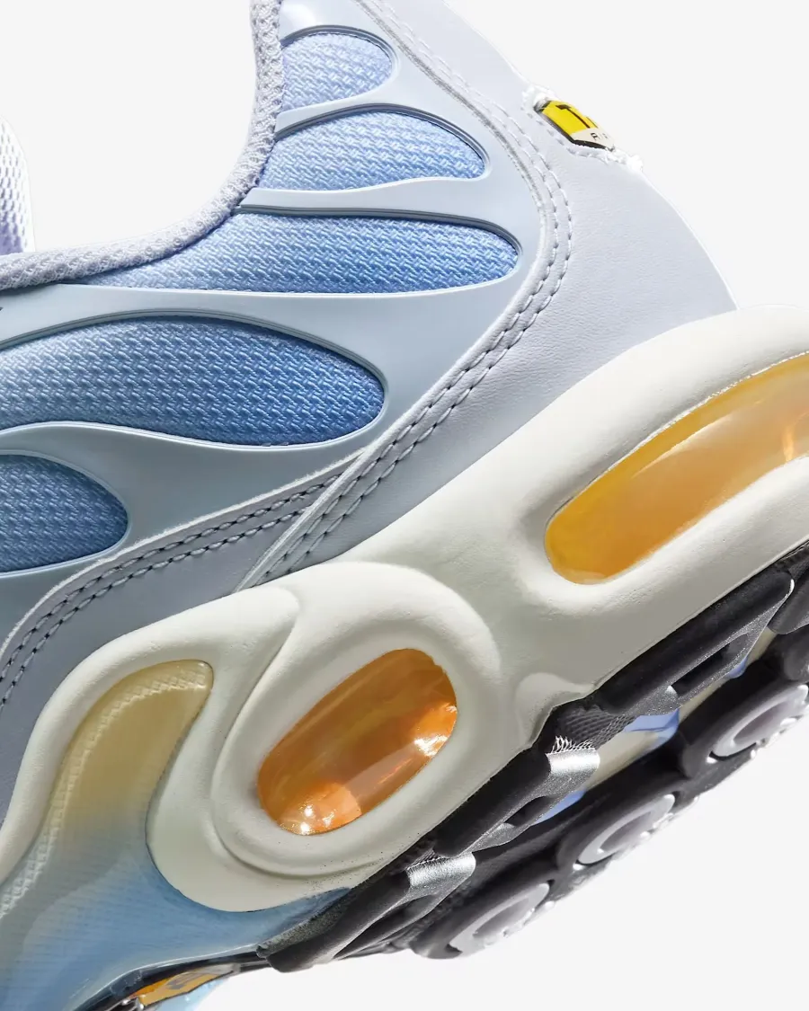 Кросівки Nike Air Max Plus Daybreak DZ3670-004