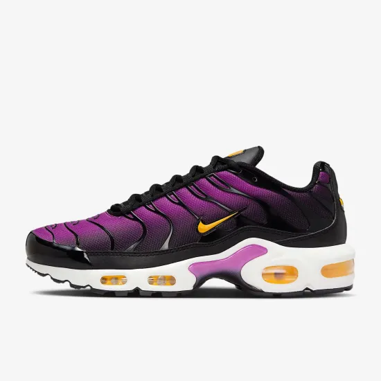 Кросівки Nike Air Max Plus Daybreak DZ3670-005