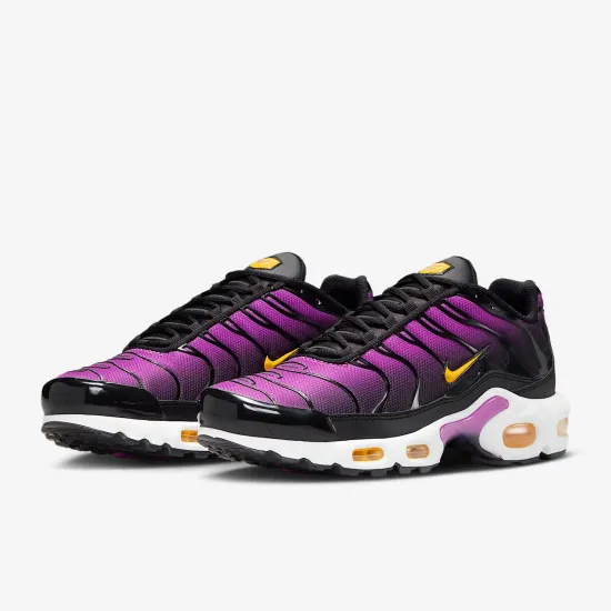 Кросівки Nike Air Max Plus Daybreak DZ3670-005