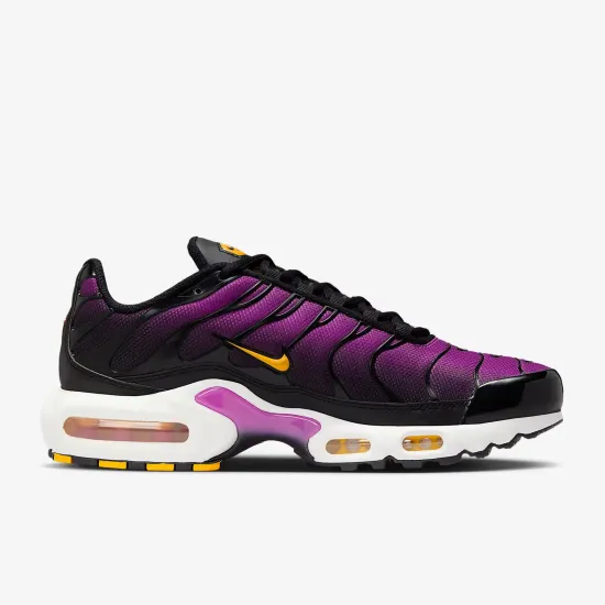 Кросівки Nike Air Max Plus Daybreak DZ3670-005
