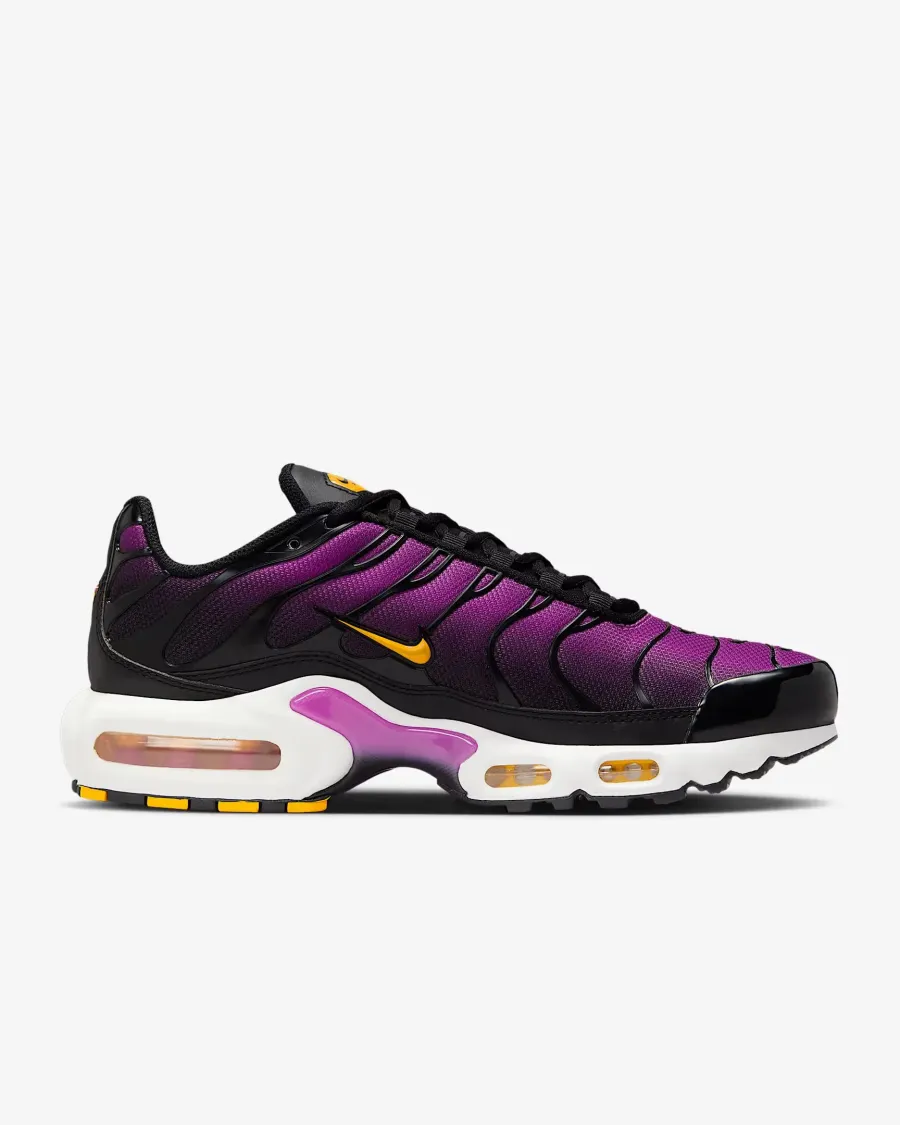 Кросівки Nike Air Max Plus Daybreak DZ3670-005