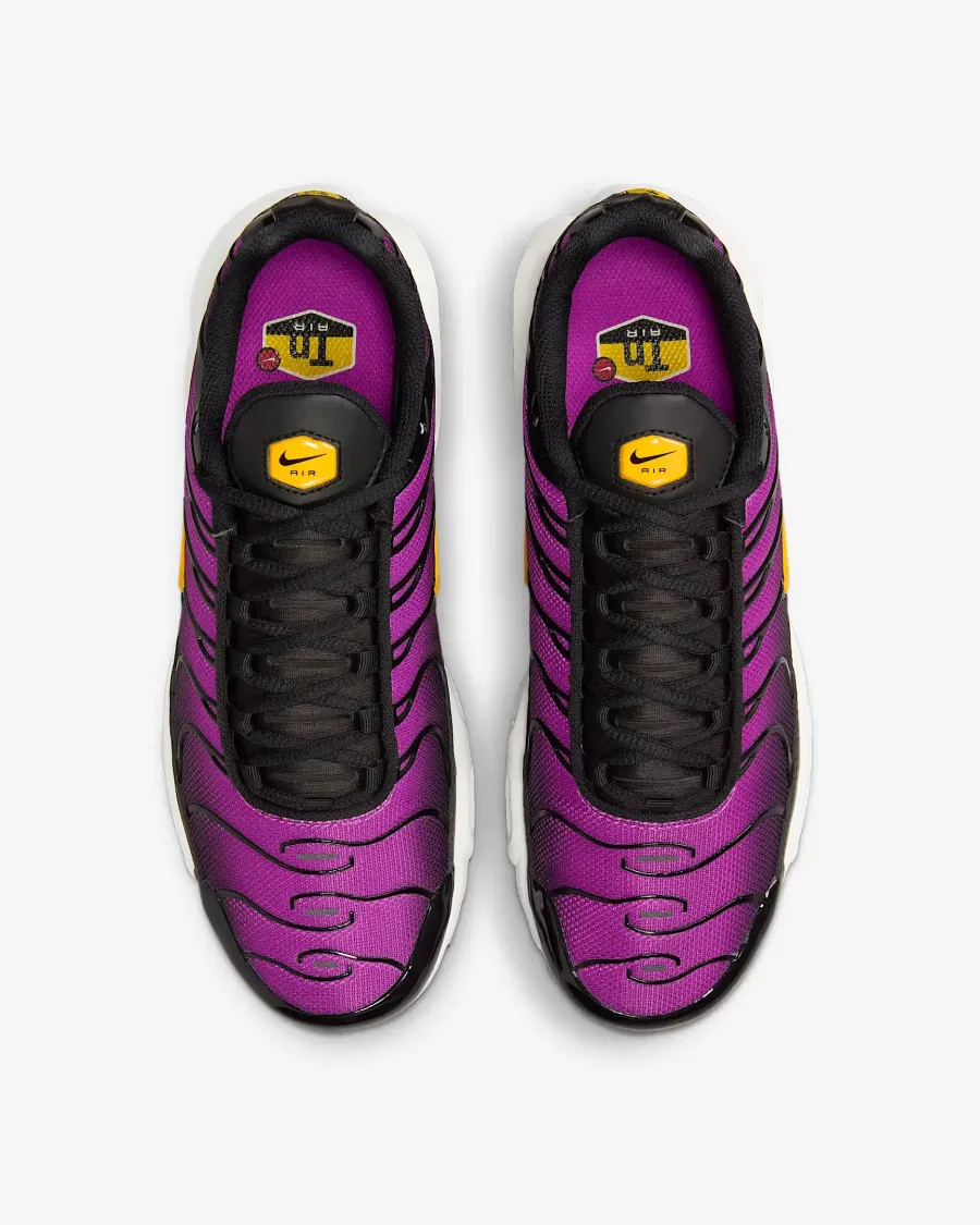 Кросівки Nike Air Max Plus Daybreak DZ3670-005