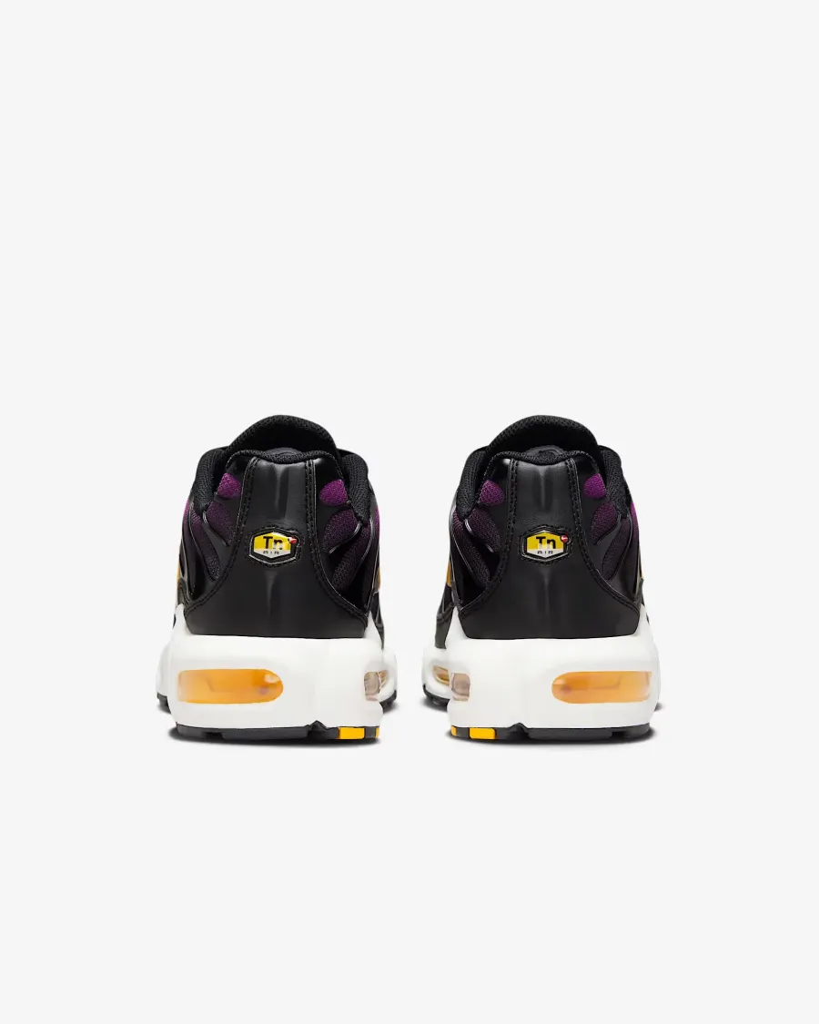 Кросівки Nike Air Max Plus Daybreak DZ3670-005