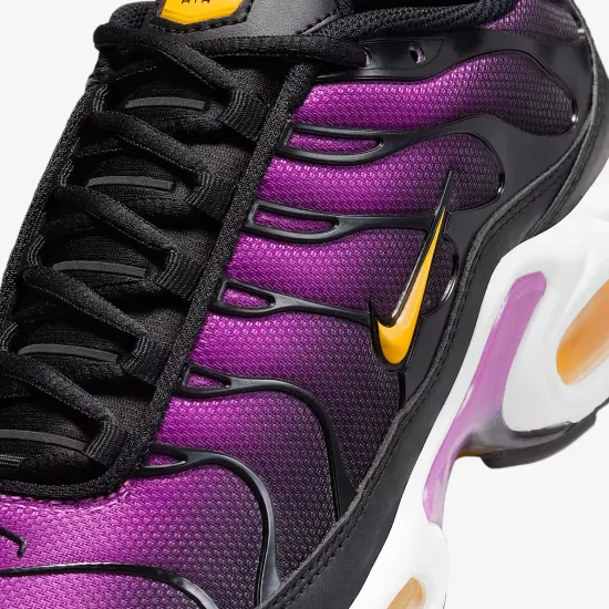 Кросівки Nike Air Max Plus Daybreak DZ3670-005