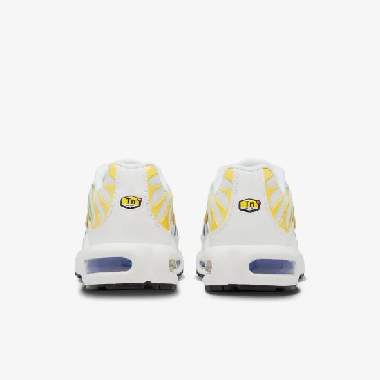 Кросівки Nike Air Max Plus DZ3671-101