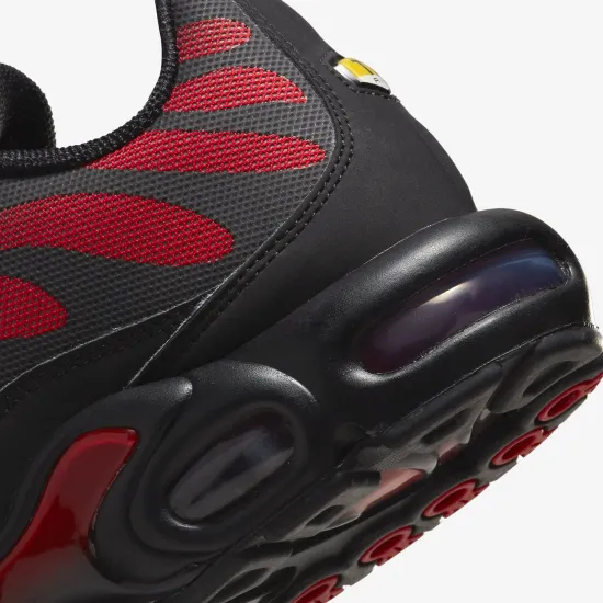 Кросівки Nike Air Max Plus DZ4507-600