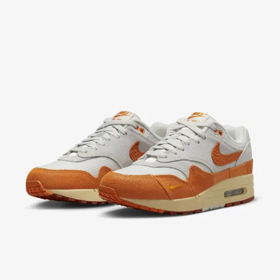 Кросівки Nike Air Max 1 DZ4709-001