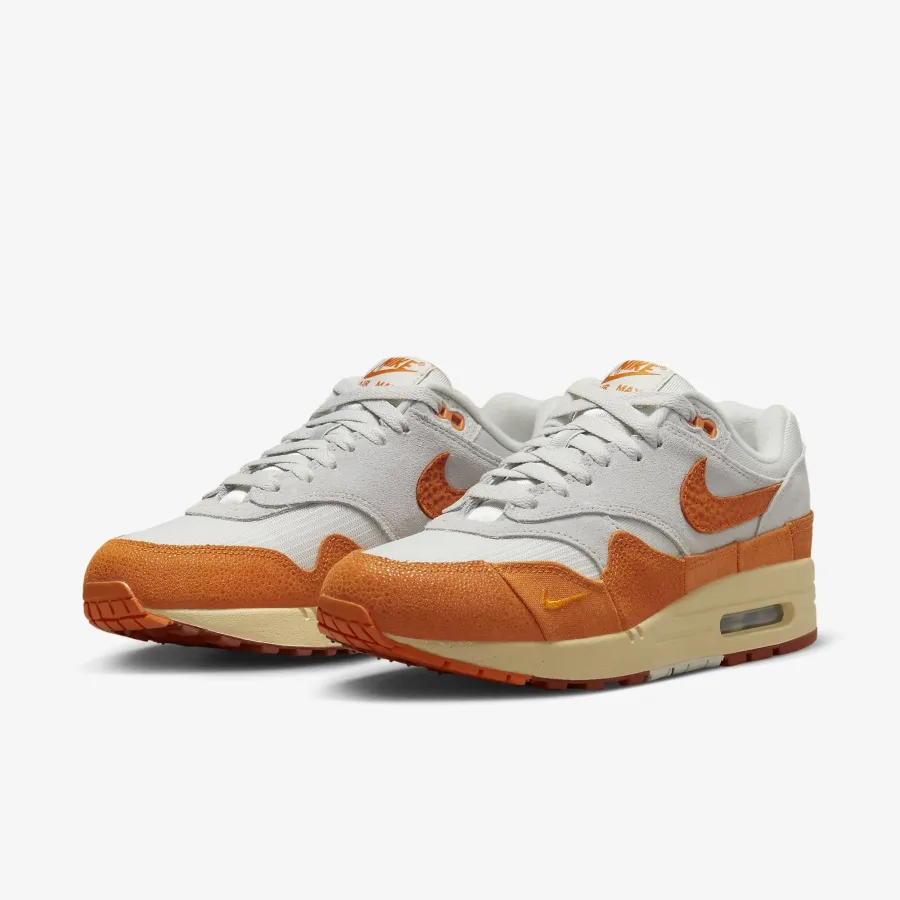 Кросівки Nike Air Max 1 DZ4709-001